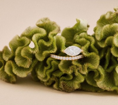 Forever's collection